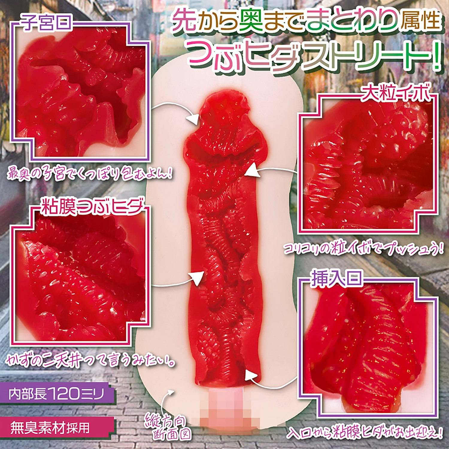 OH-3509_502.jpg (612 KB)