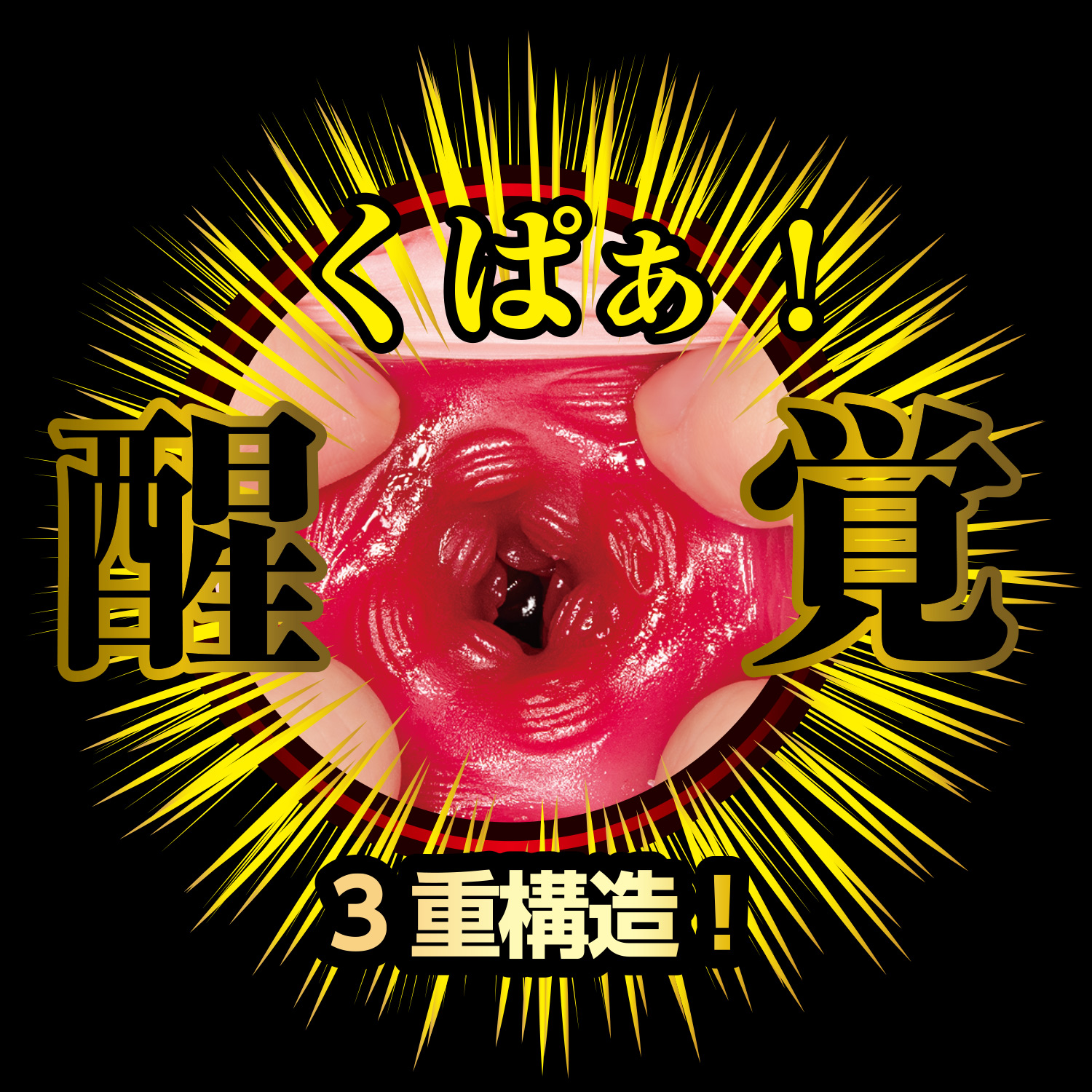 OH-3449_507.jpg (796 KB)