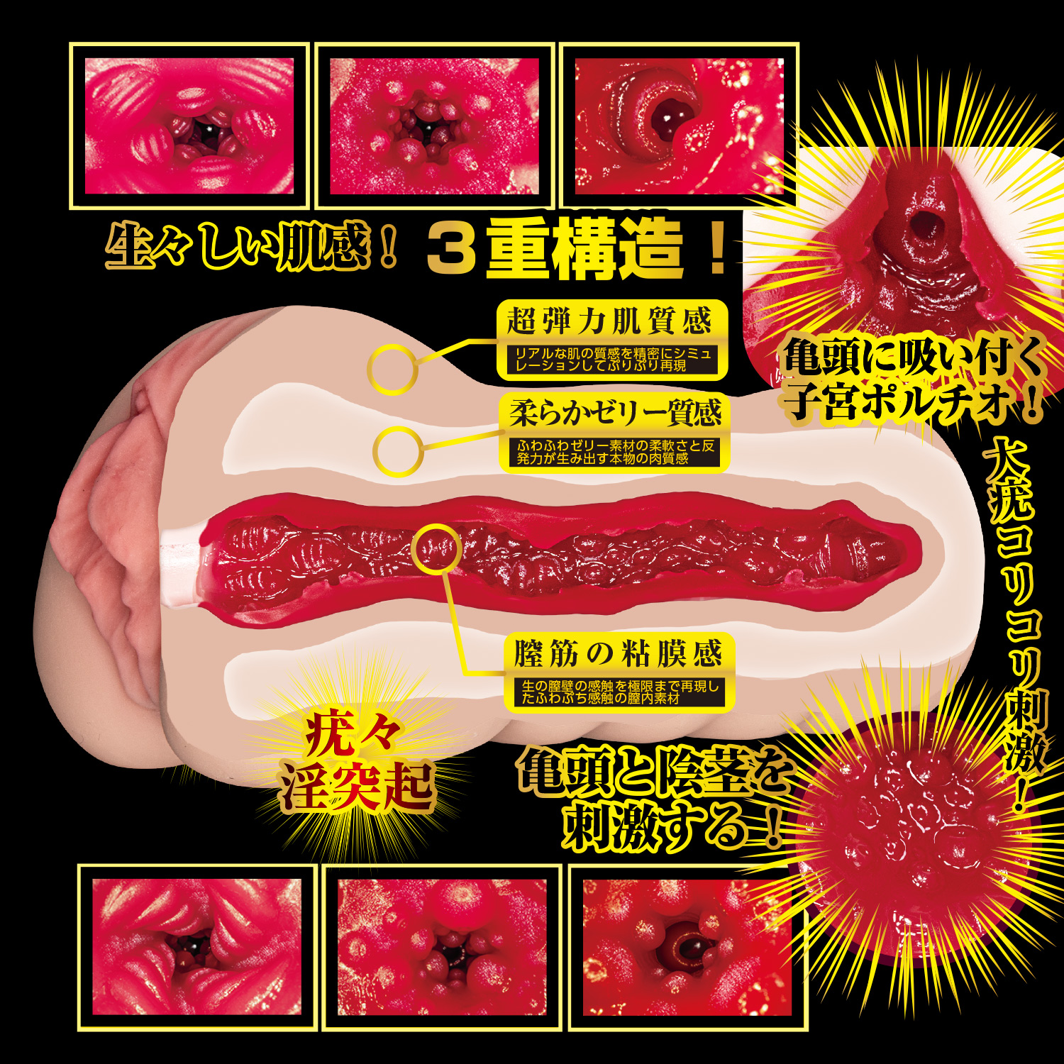 OH-3449_509.jpg (968 KB)