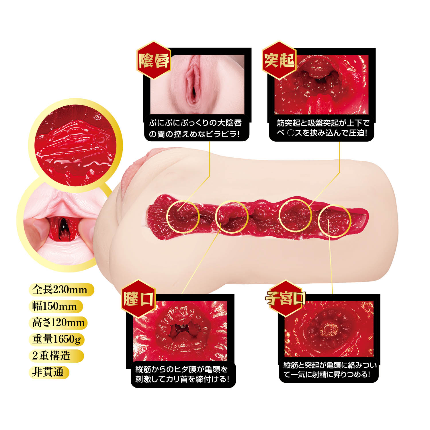 OH-3562_503.jpg (236 KB)