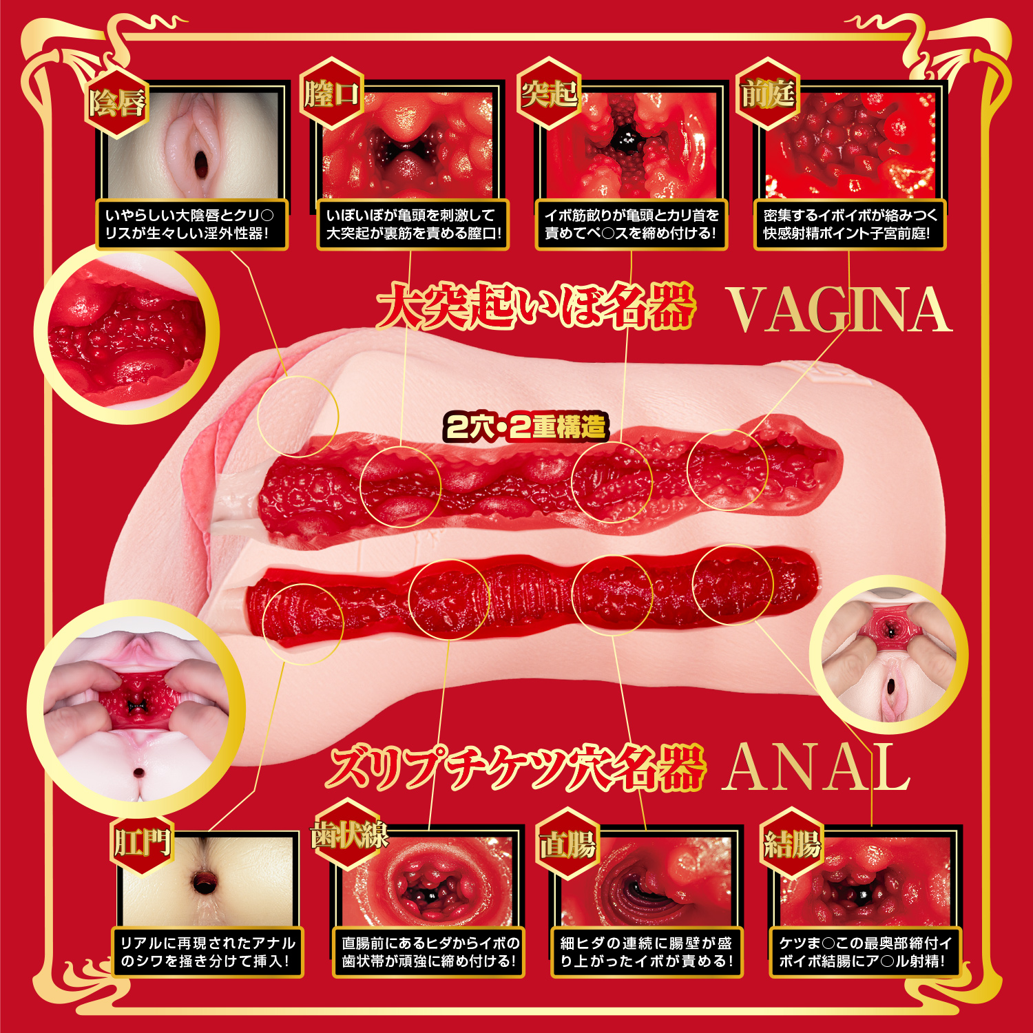 OH-3615_509.jpg (1023 KB)