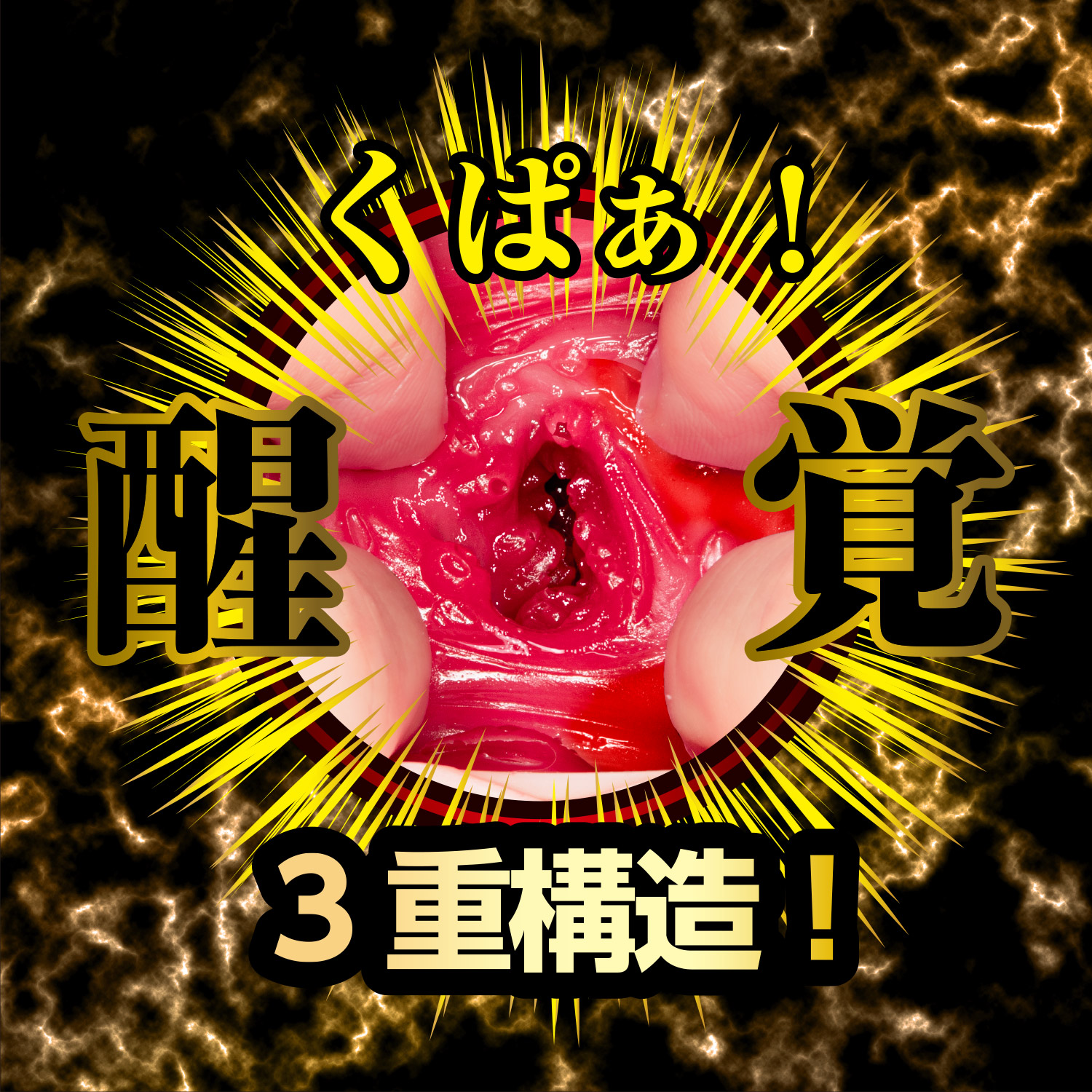 OH-3527_504.jpg (726 KB)