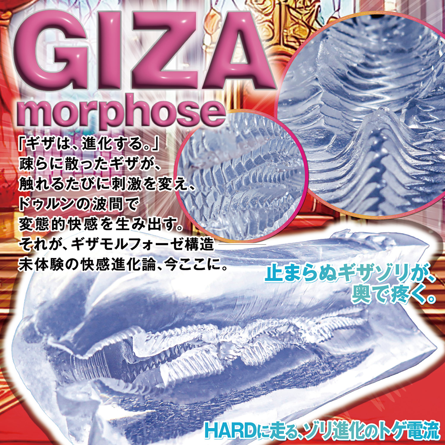 OH-3550_505.jpg (676 KB)