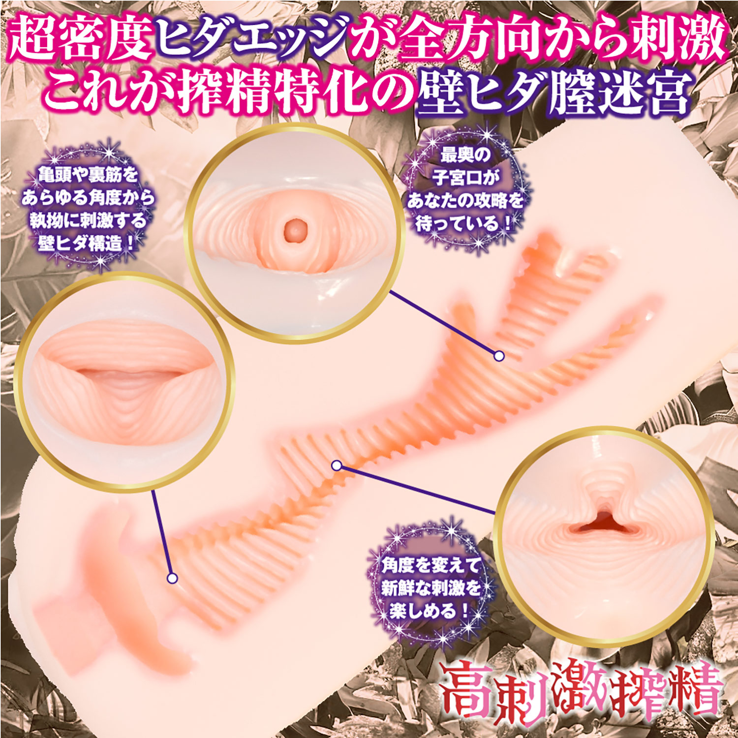 OH-3754_501.jpg (470 KB)